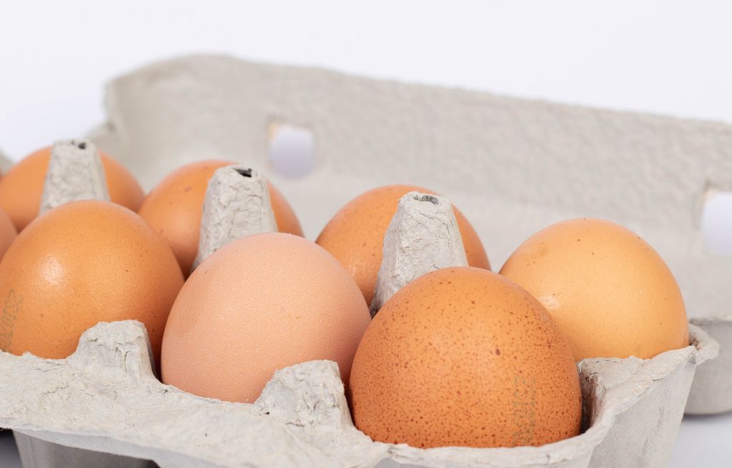 Nahaufnahme von frischen braunen Hühnereiern in Eierkarton vor weißem Hintergrund