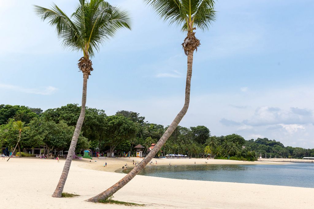 Palms at Palawan Beach