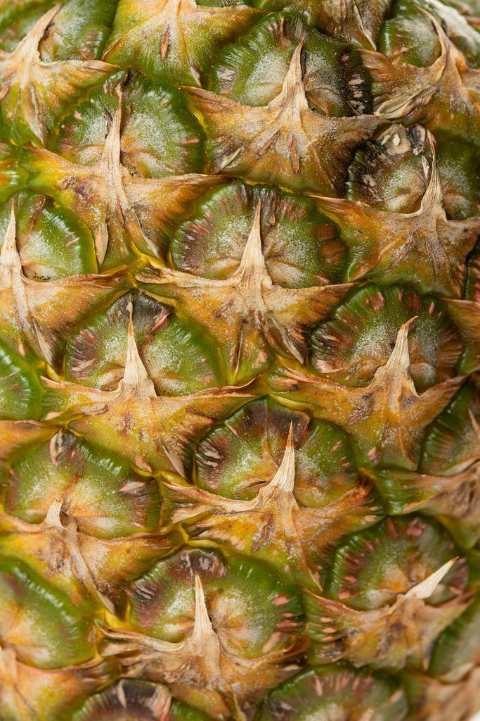 Pineapple bark in closeup macro image