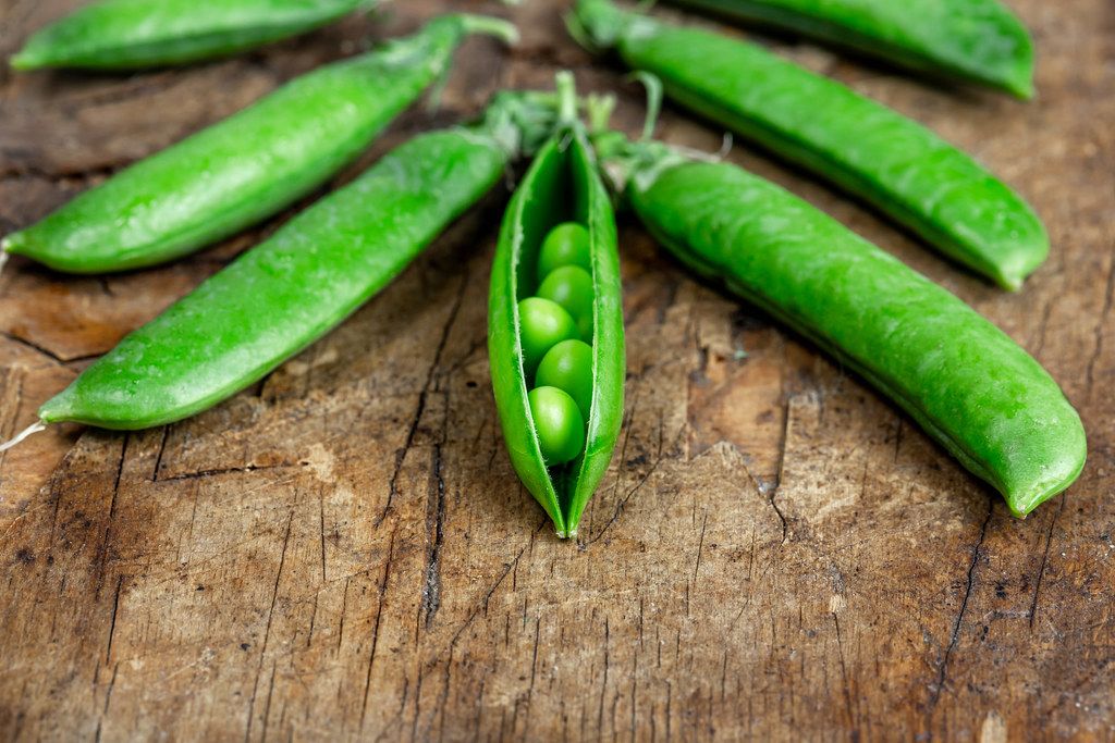 Pods of green peas on a old wooden surface ,close up