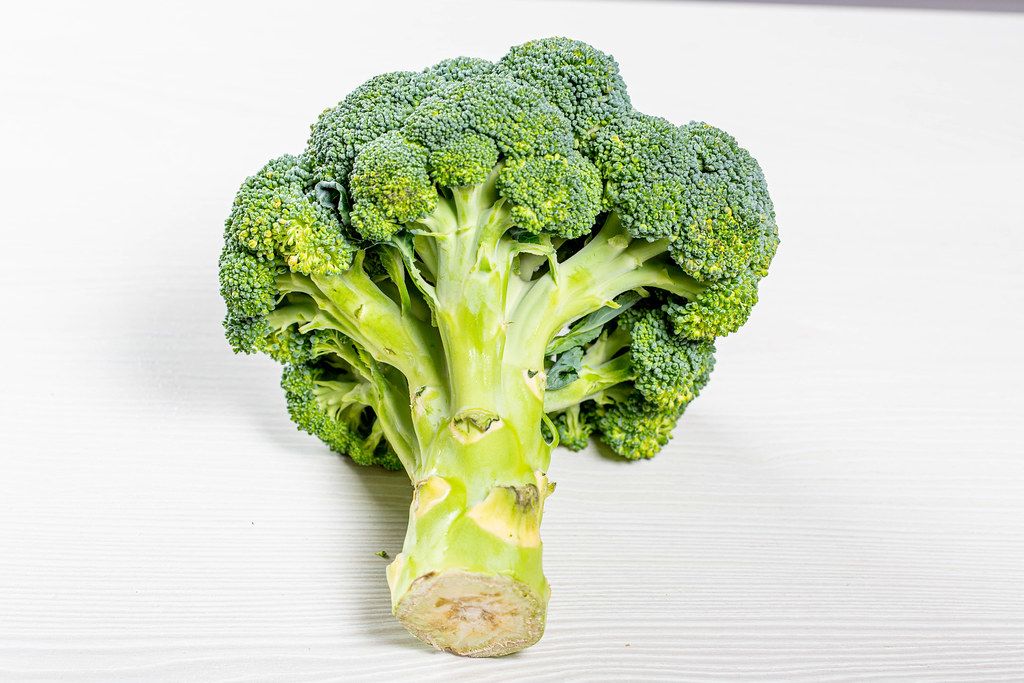 Raw fresh broccoli on white background