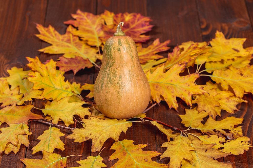 Ripe pumpkin with autumn leaves on old wooden background