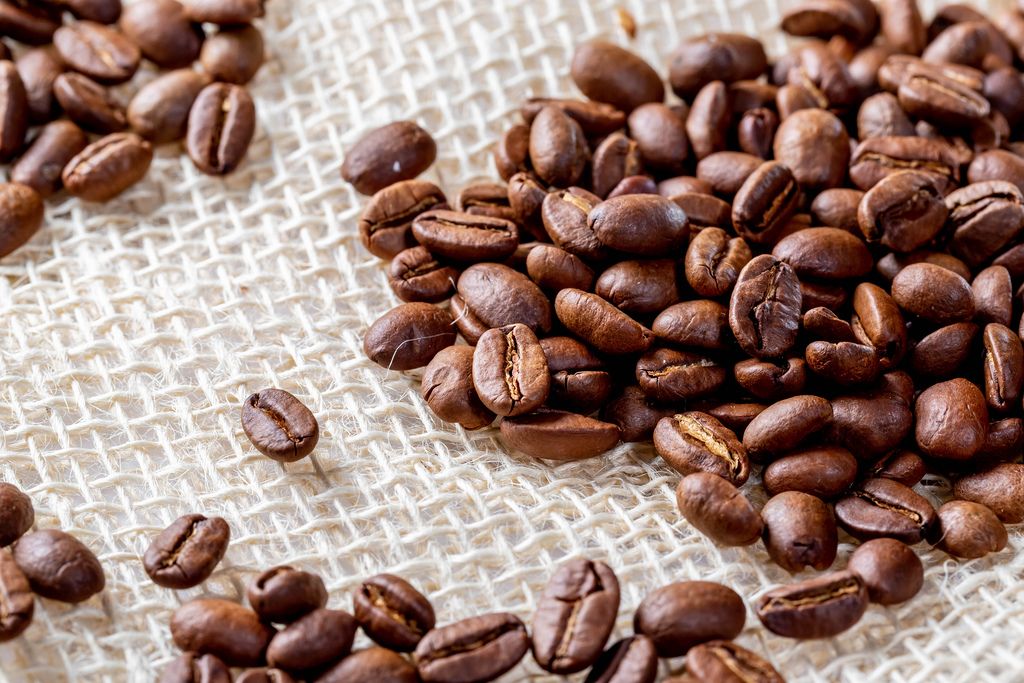Roasted coffee beans on burlap