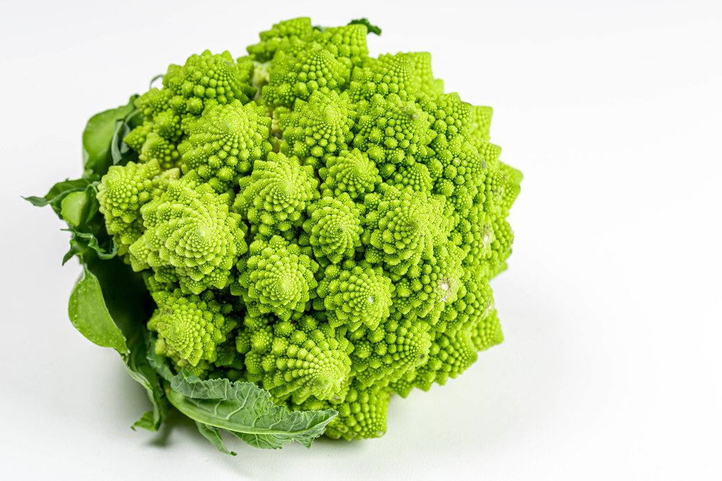 Romanesco broccoli cabbage (or Roman Cauliflower) on white background