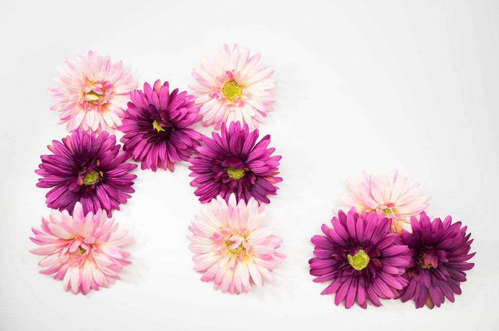 Rosa und pinke Blumen formen den Buchstaben M und einen Punkt (M.)