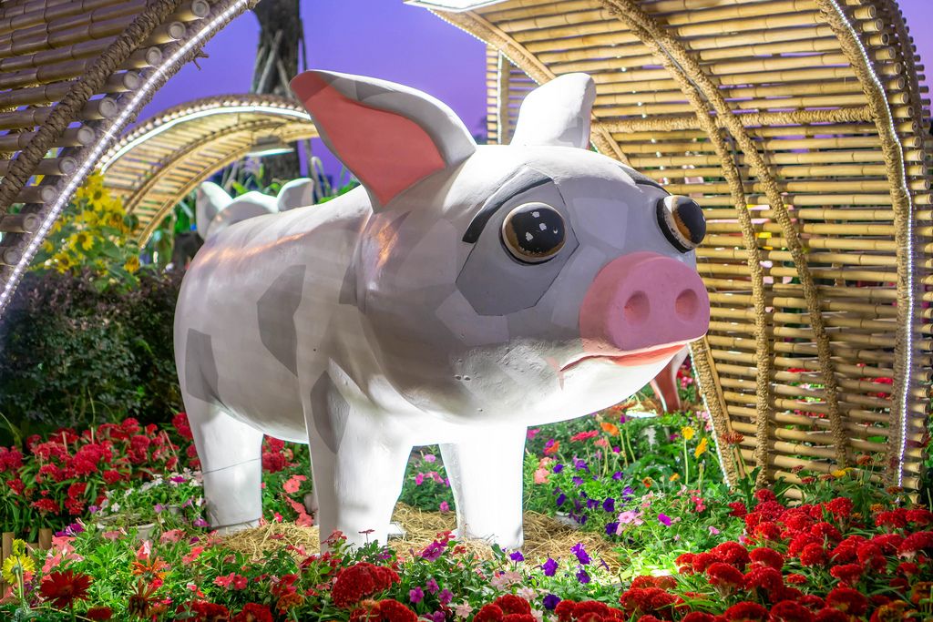 Sad Pig Statue decorated with Flowers in Ho Chi Minh City, Vietnam