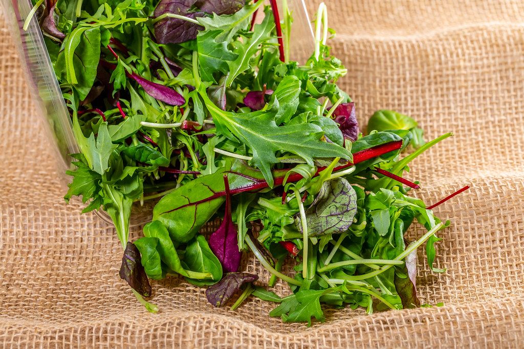 Salad mix and arugula on a background of burlap (Flip 2019)