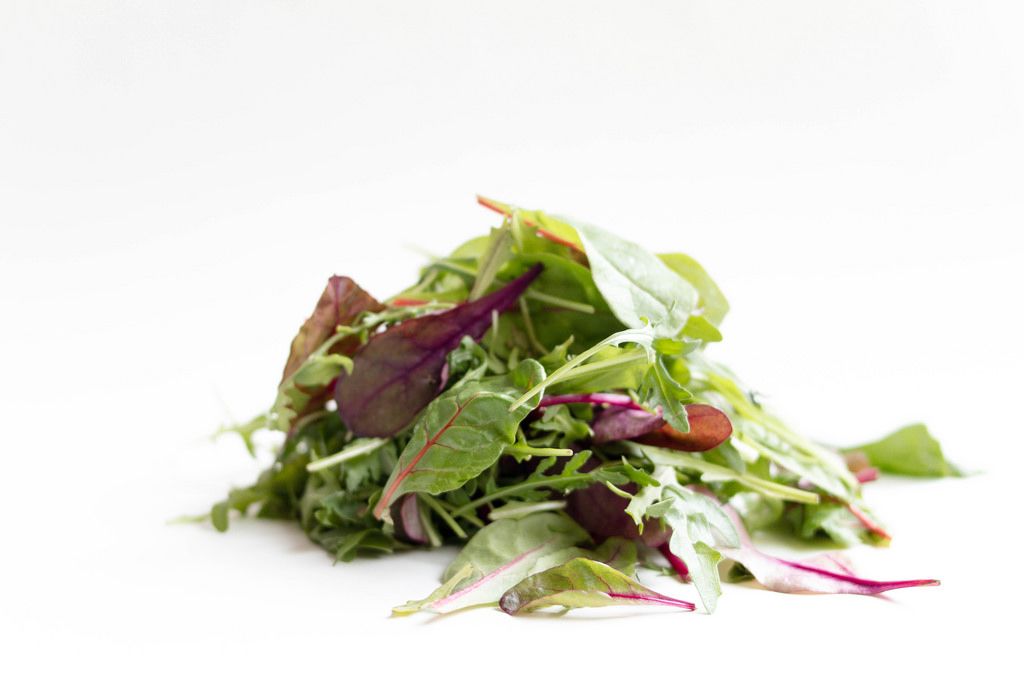 Salad mix with rucola, frisee and radicchio / Gemischter Salat