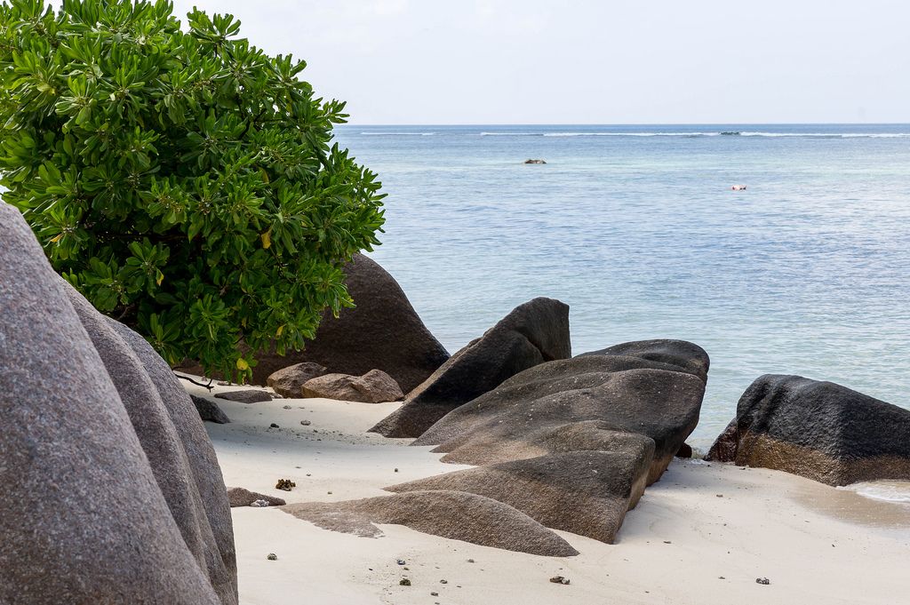 Schwarze Granitbrocken auf dem weißem Sandstrand Anse Source d'Argent auf La Digue vor dem blauen Meer des Indischen Ozeans