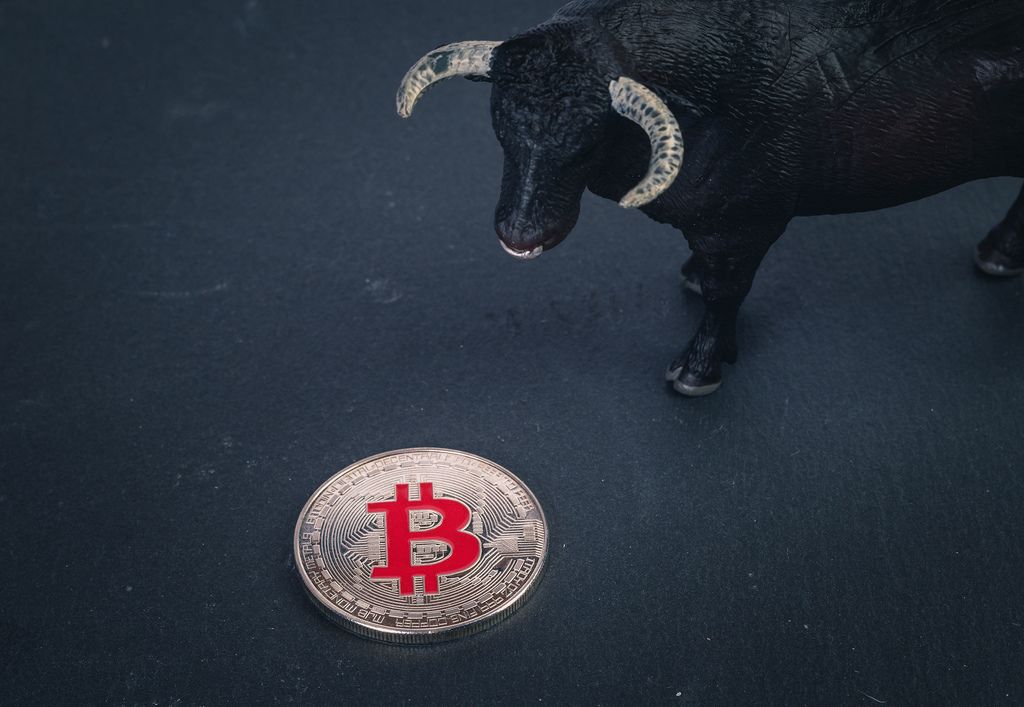 Silver Bitcoin with black bull