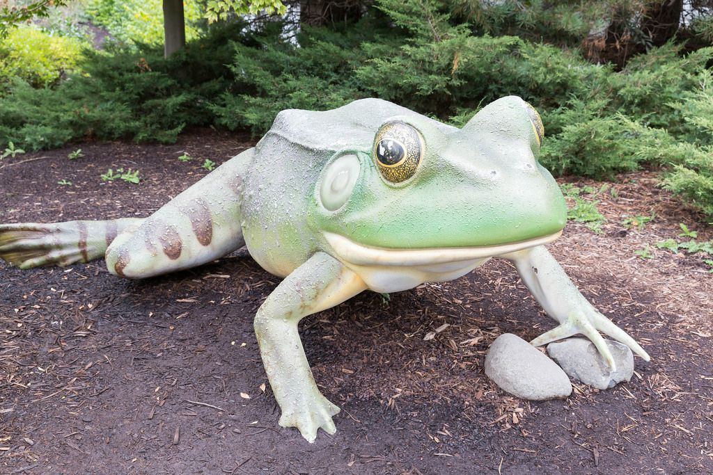Skulptur eines grünen Frosches - Shedd Aquarium, Chicago