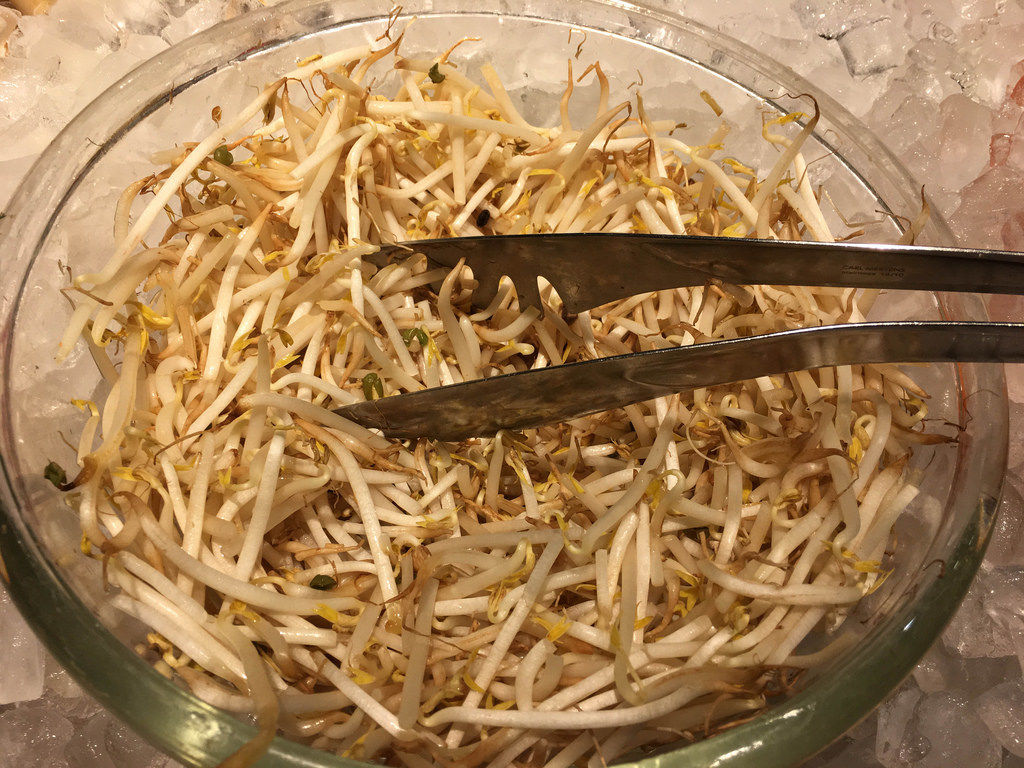 Sojakeime / Mung bean sprouts