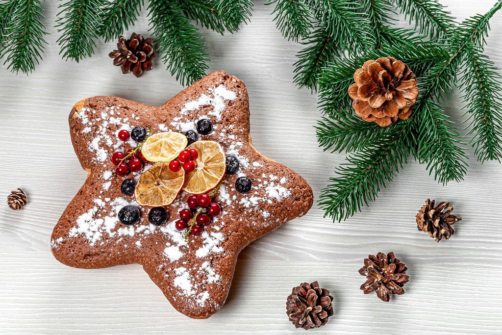 Star sponge cake with red currants, blueberries and dried citrus pieces with Christmas tree branches (Flip 2019)
