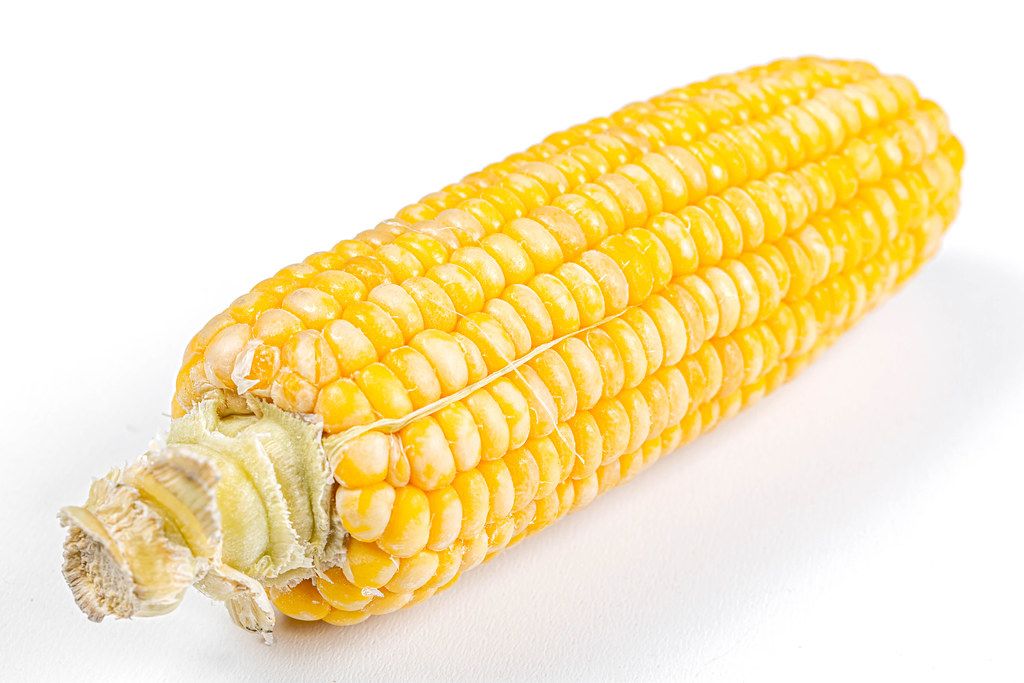 Sweet corn on a white background