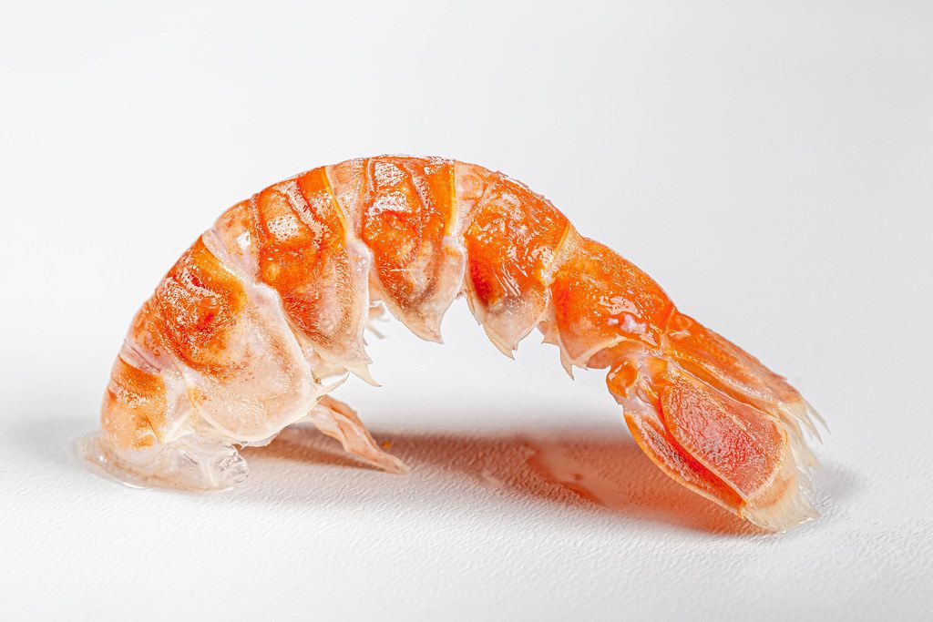 Tail of a boiled lobster on a white background close-up