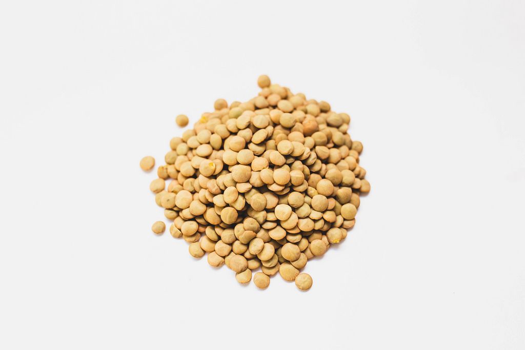 Top view of brown lentils on white background