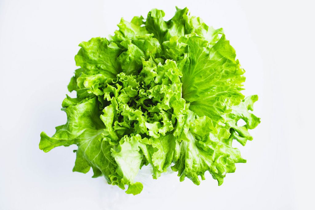 Top view of green leaf lettuce salad on white background