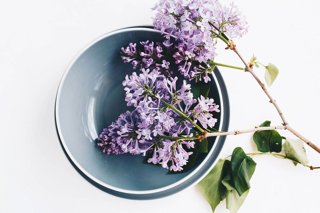 Top view of lilac flower in a plate. Spring concept.