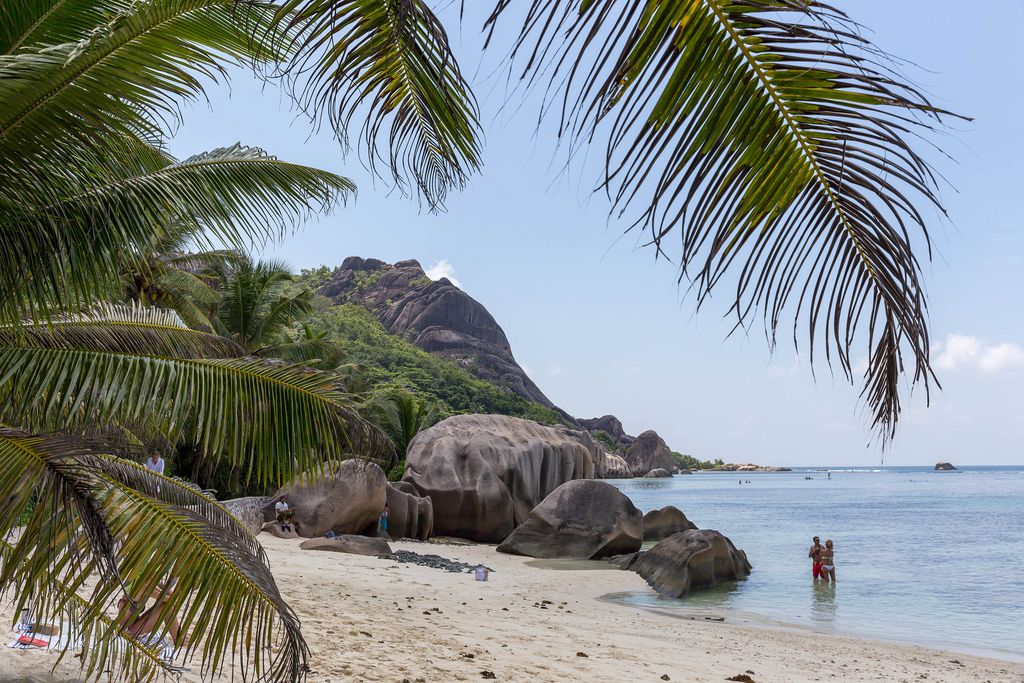 Urlauber vor Granitfelsen hinter Palmenblätter am Anse Union Strand auf der Seychelleninsel La Digue