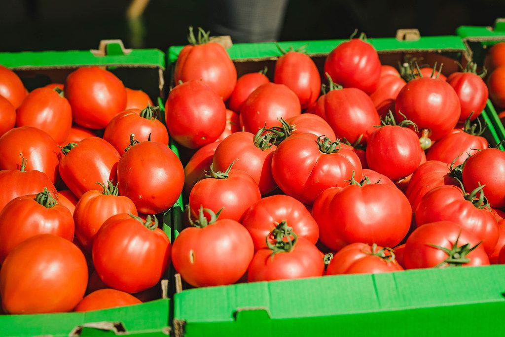Viele reife Tomaten in Kartons auf einem Marktplatz