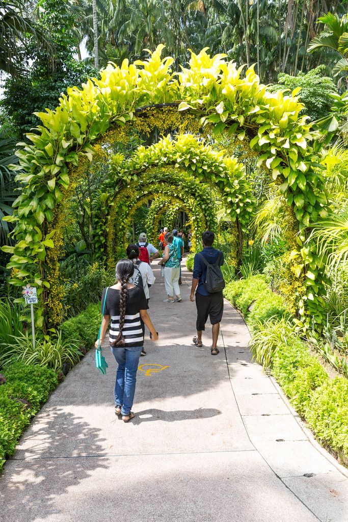 Walking Path in Botanic Garden Singapore