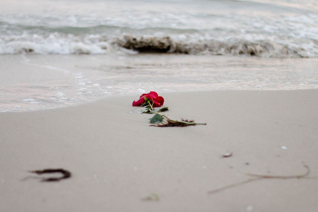 Waves washing away a red rose from the beach.