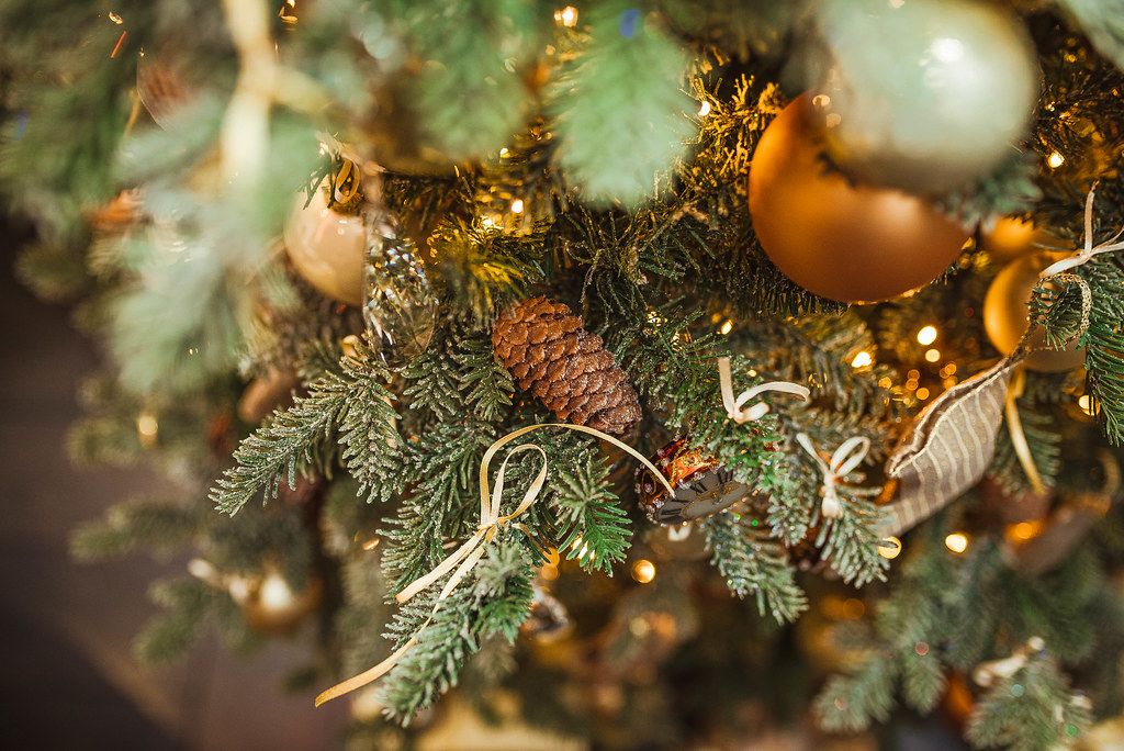 Weihnachtsbaum mit Tannenzapfen und goldenen Kugeln und Lichterkette
