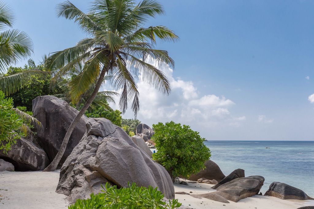 White Beach Anse Source d'Argent with granite rocks and Palm  in La Digue, Seychelles