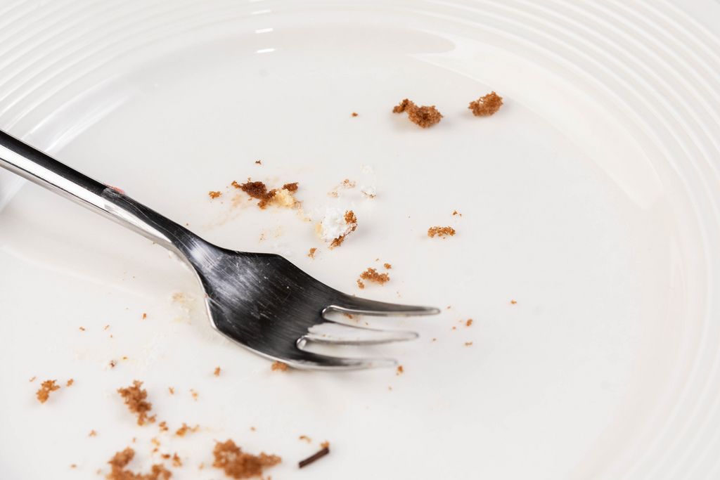 White empty Plate with piece of Cake Leftovers and Fork (Flip 2019)