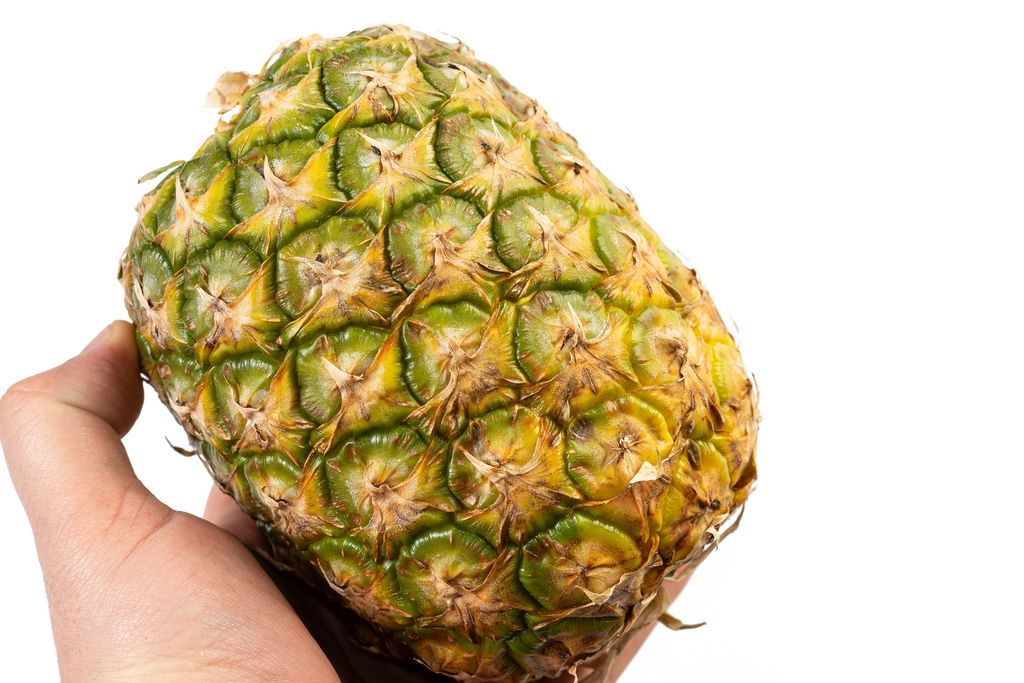 Whole Pineapple in the Hand on the white background
