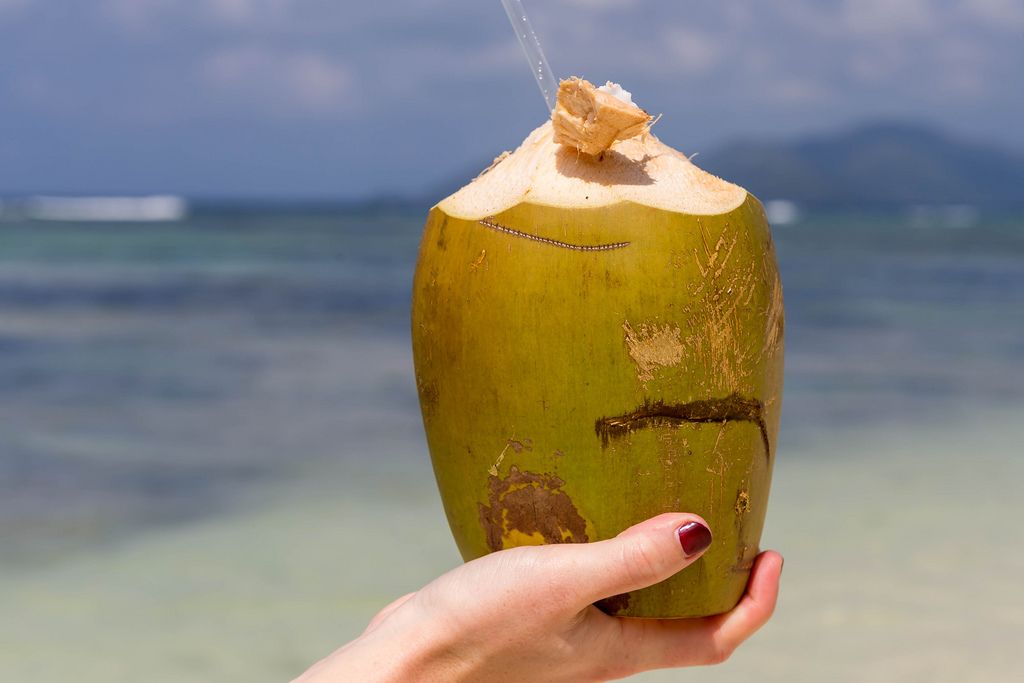 Woman's hand holds green coconut with straw on Seychelles Island in front of the Indian Ocean