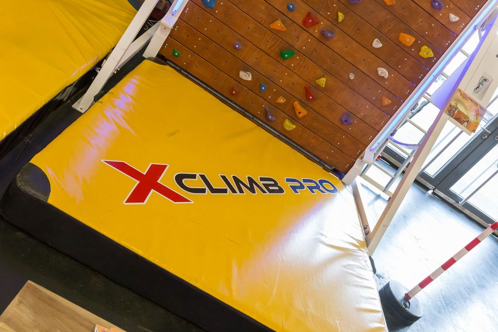 X-climb Pro climbing wall