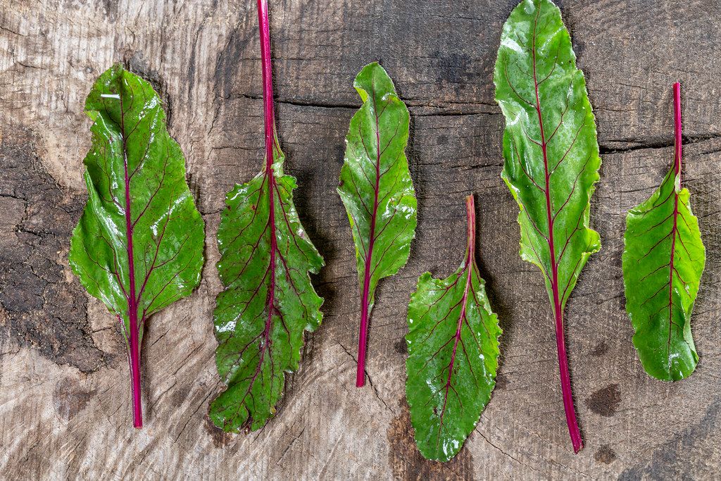 Young fresh beet leaves on wooden background. Top view (Flip 2019)