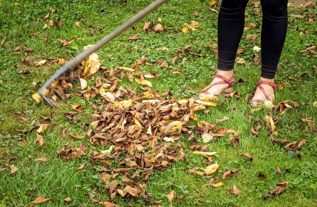 Young woman raking leaves