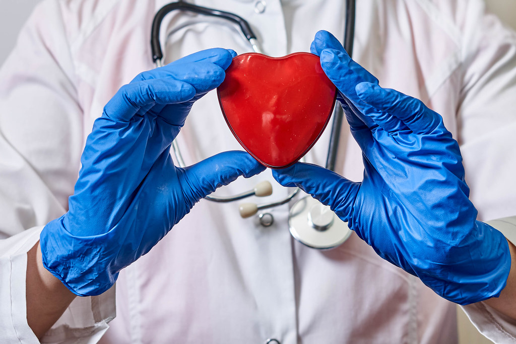 17. Close-up view of a doctor hand holding red heart