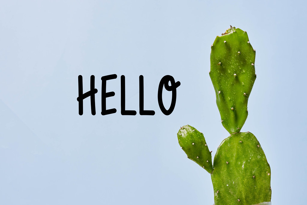 A funny cactus plant in form of human with Hello phrase