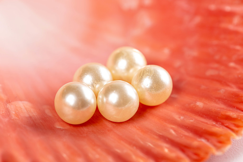 A group of pearl on the red shell, close up