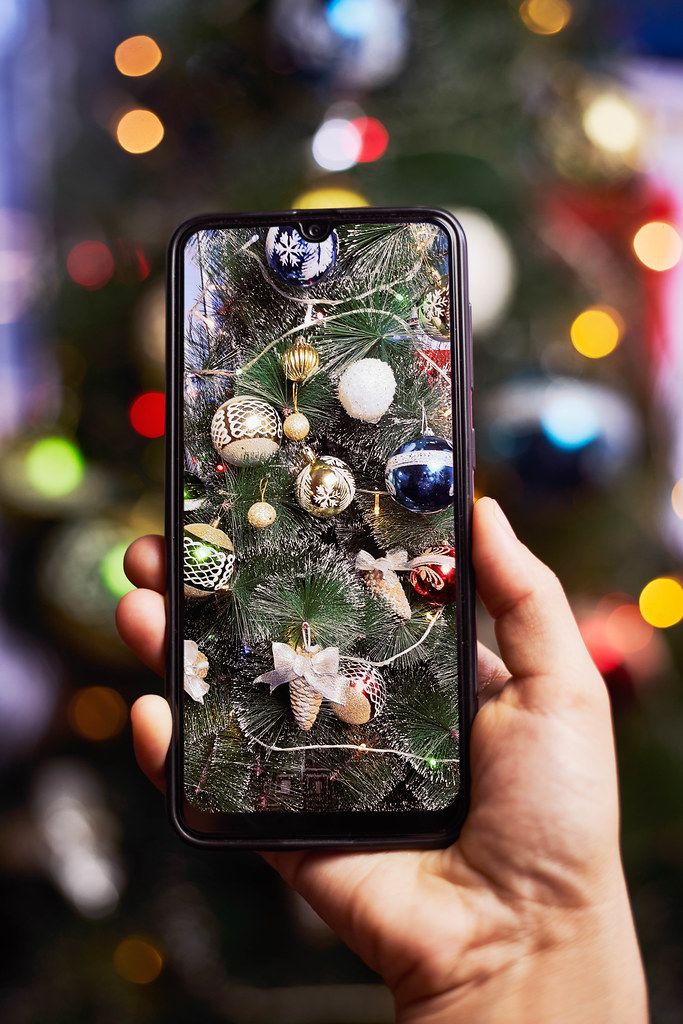 A person taking a photograph of a Christmas tree