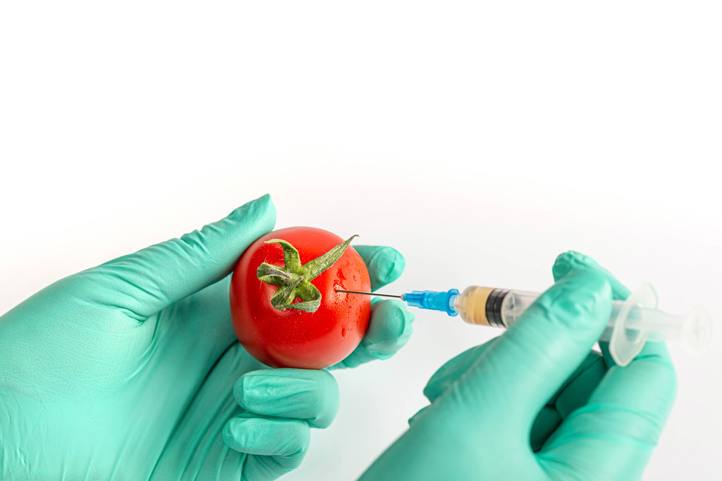 A syringe is pointed in a ripe red tomato, health care and pesticide concept