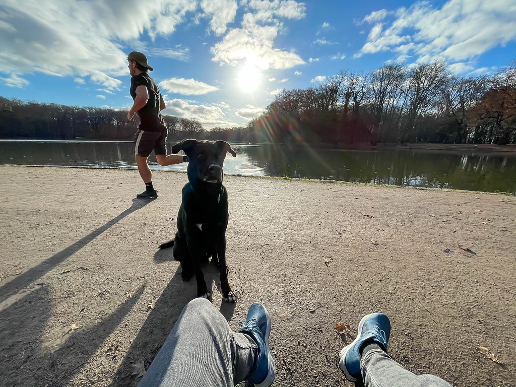 Am See direkt in der Stadt entspannen, mit dem Hund draußen sitzen und die Wintersonne genießen