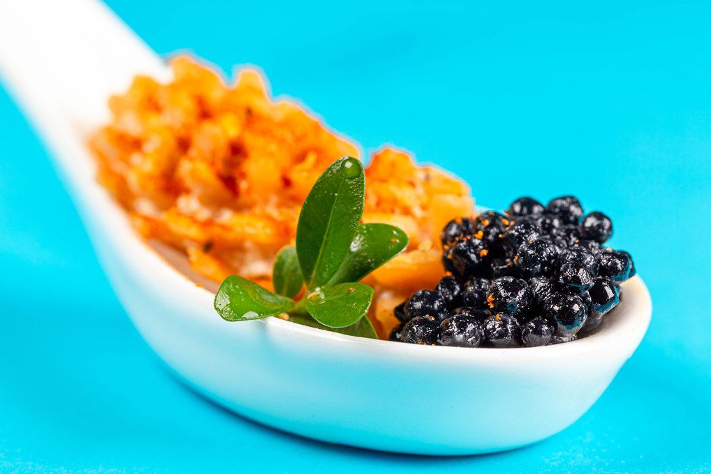 Appetizer with octopus and black caviar on a blue background, close-up