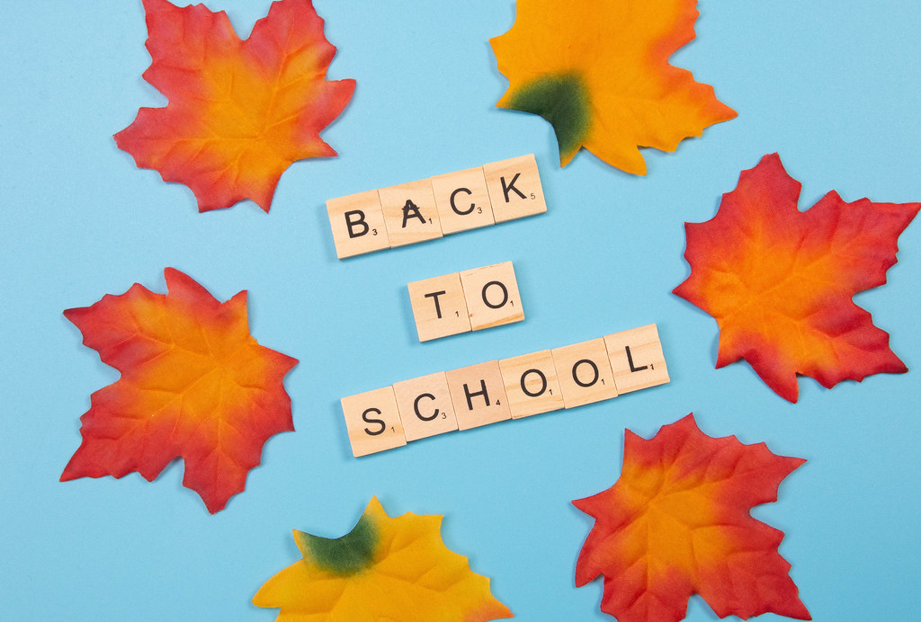 Autumn leaves with back to School text on blue background