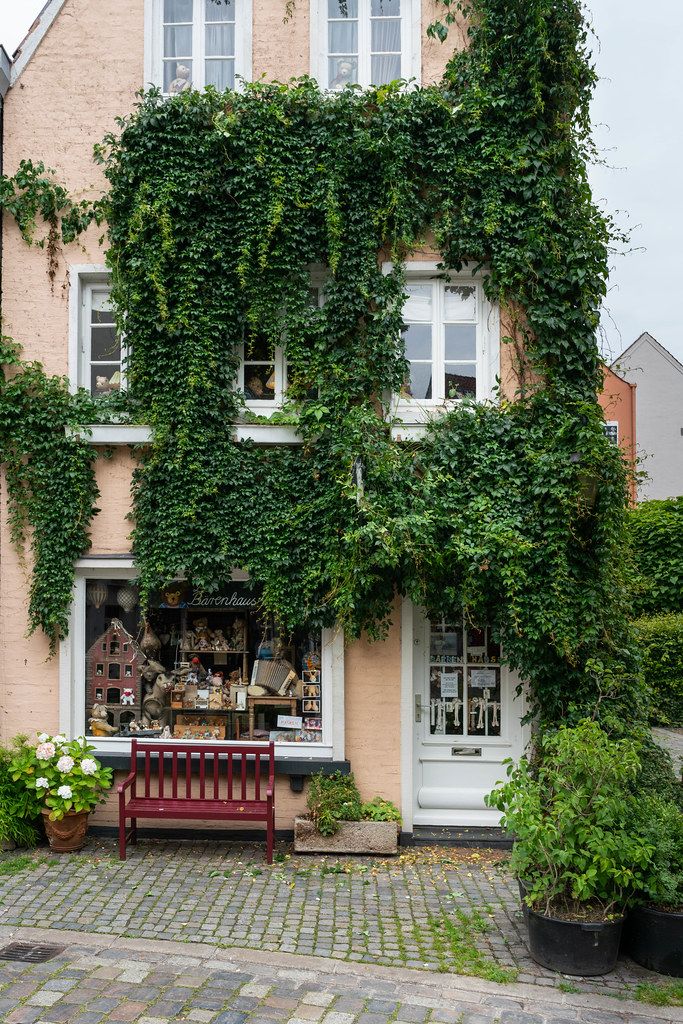 Beautiful authentic German building covered in green plants in Bremen, Germany