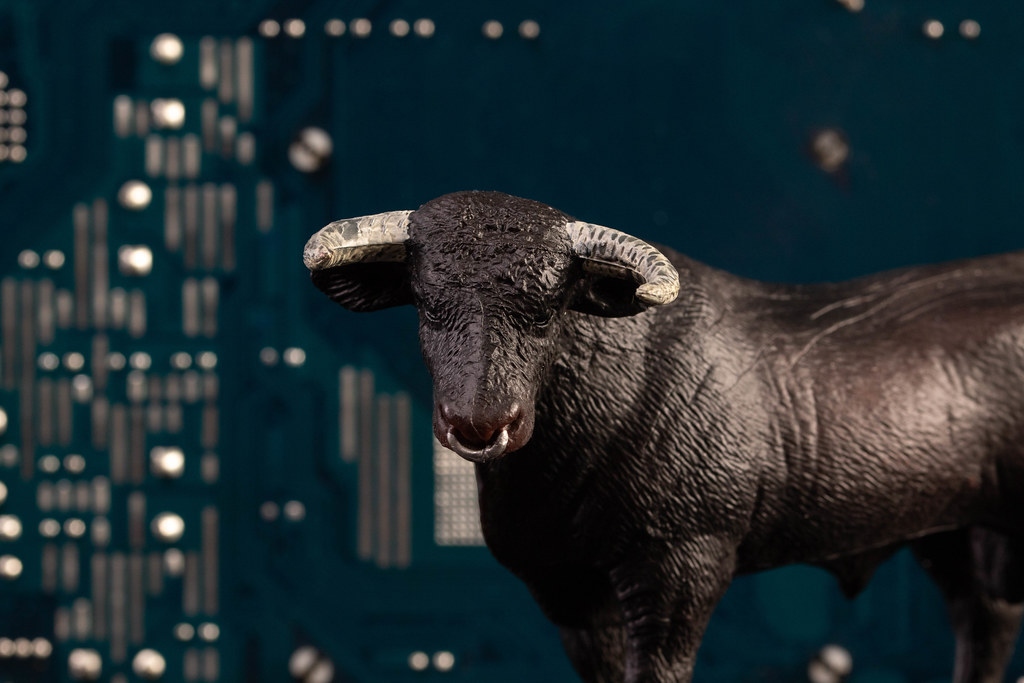 Black bull with computer chips in the background