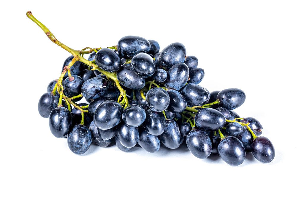 Branch of blue ripe grapes on a white background