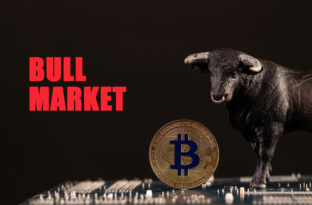 Bull with Bitcoin cryptocurrency on computer motherboard with Bull Market text