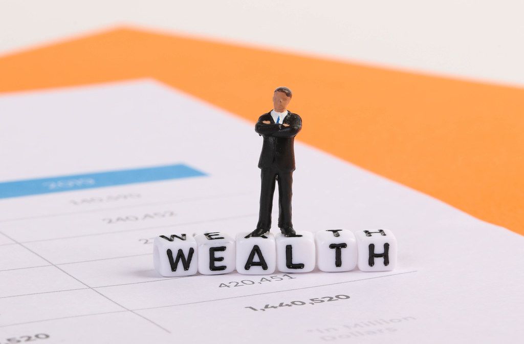 Businessman figure with Wealth text