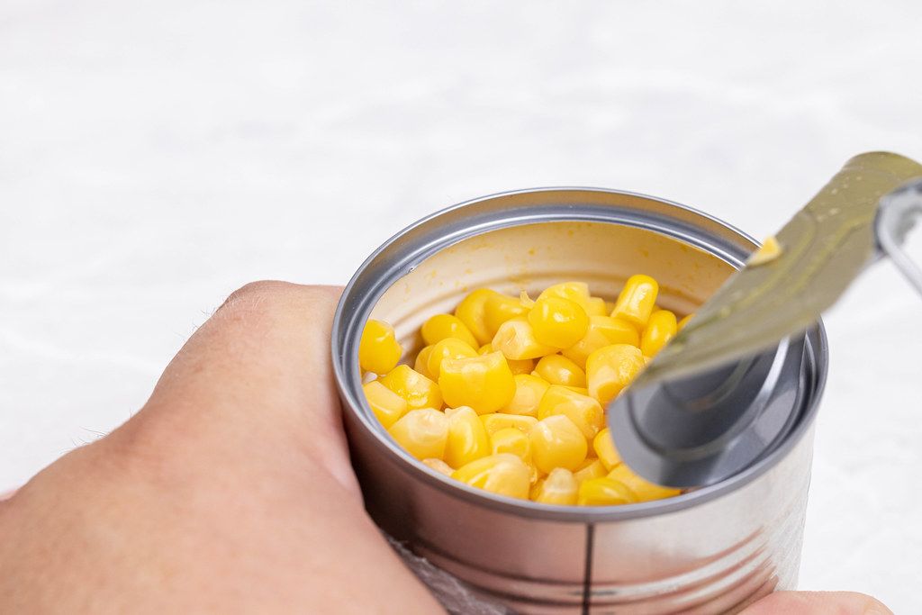 Canned cooked Corn in the hand with copy space