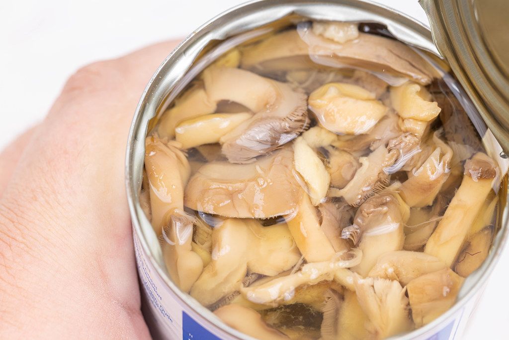 Canned sliced Mushrooms in the hand