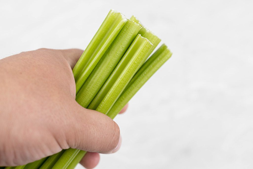 Celery Sticks in the hand with copy space